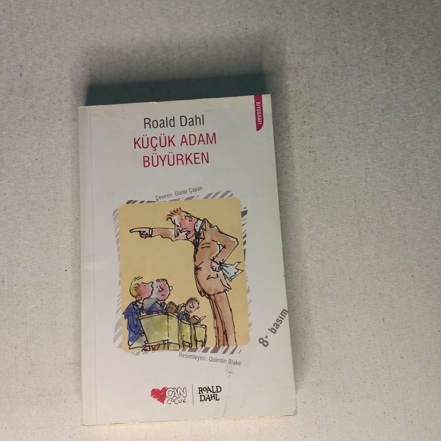 Küçük Adam Büyürken