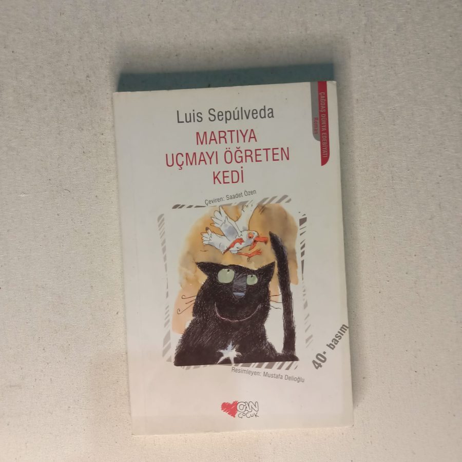 Martıya Uçmayı Öğreten Kedi