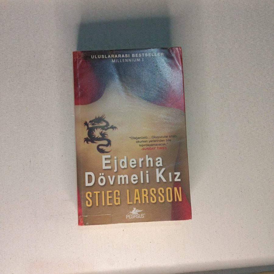 Ejderha Dövmeli Kız